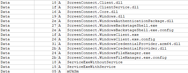 ScreenConnect-related strings found in the binary